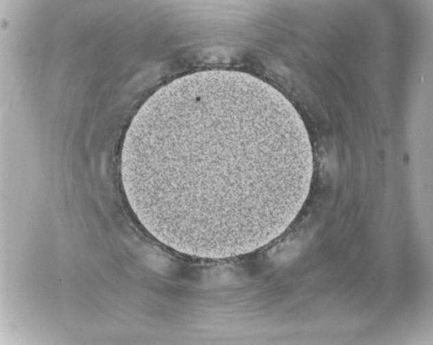 X0000070380769200607072153