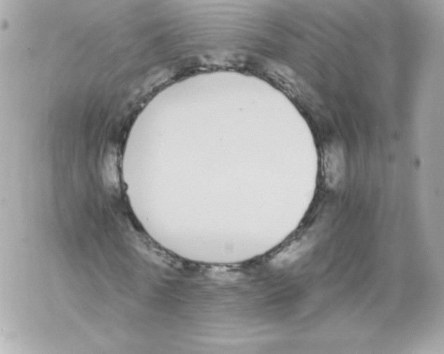 X0000070380770200607072153