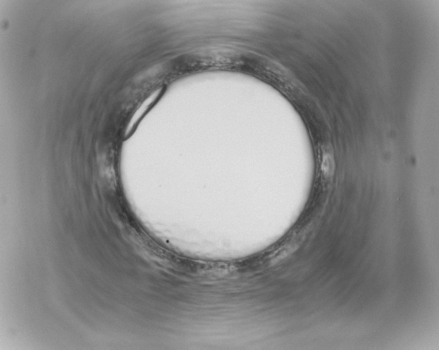 X0000070380771200607072153