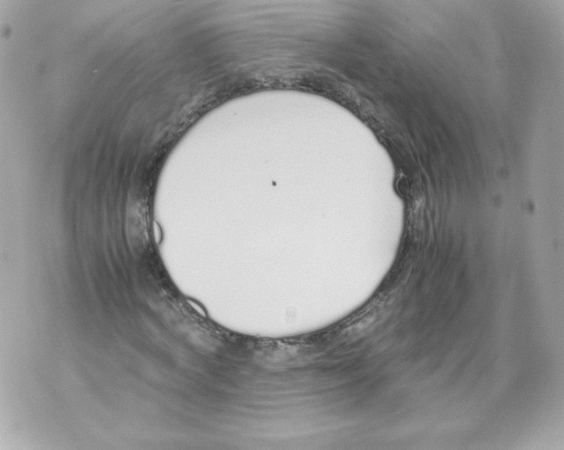 X0000070380772200607072153