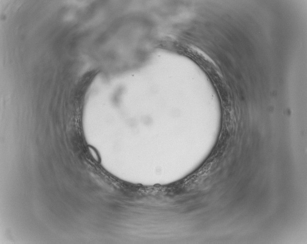 X0000070380775200607072153