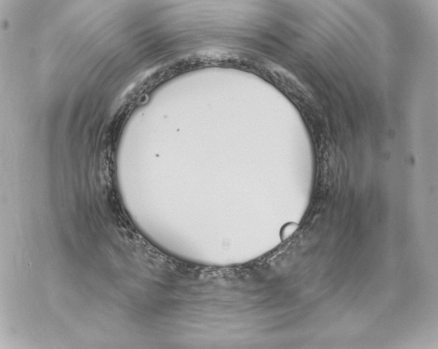 X0000070380776200607072153