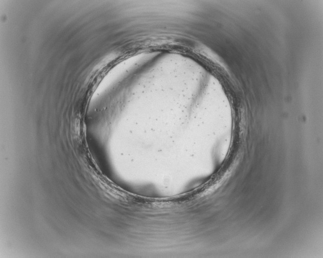 X0000070380777200607072153