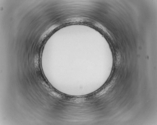 X0000070380778200607072153