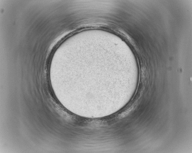 X0000070380779200607072153