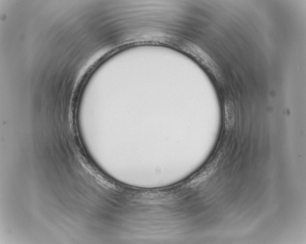 X0000070380780200607072153