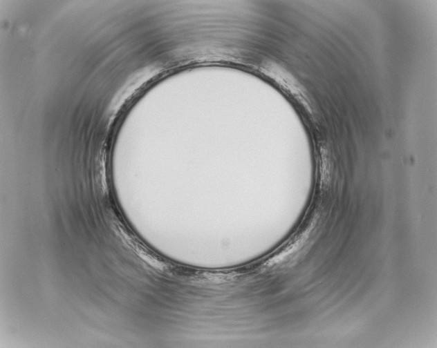 X0000070380782200607072153