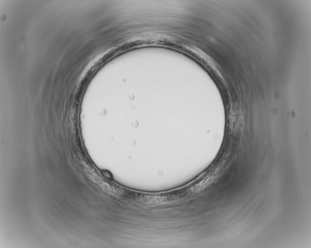 X0000070380783200607072153