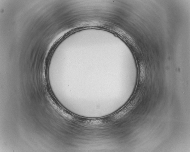 X0000070380784200607072153