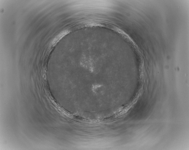 X0000070380785200607072153