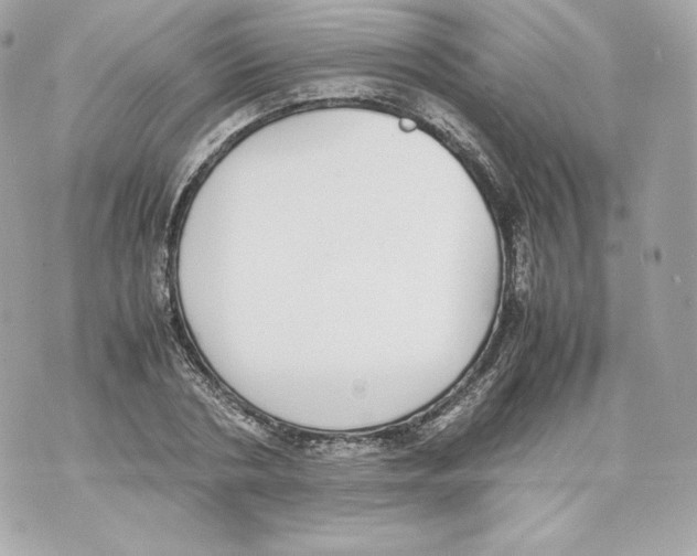 X0000070380786200607072153