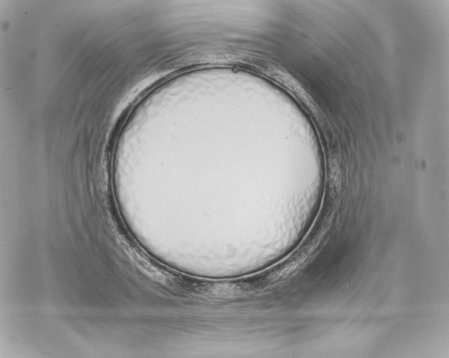 X0000070380787200607072153