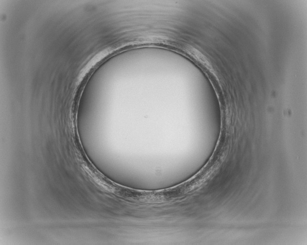 X0000070380789200607072153