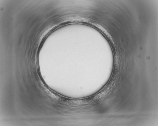 X0000070380791200607072153