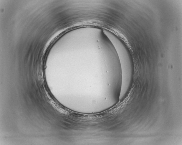 X0000070380792200607072153