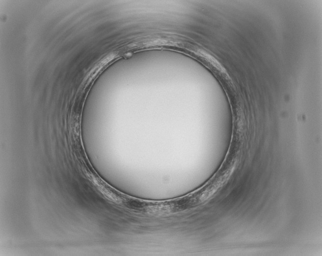 X0000070380793200607072153