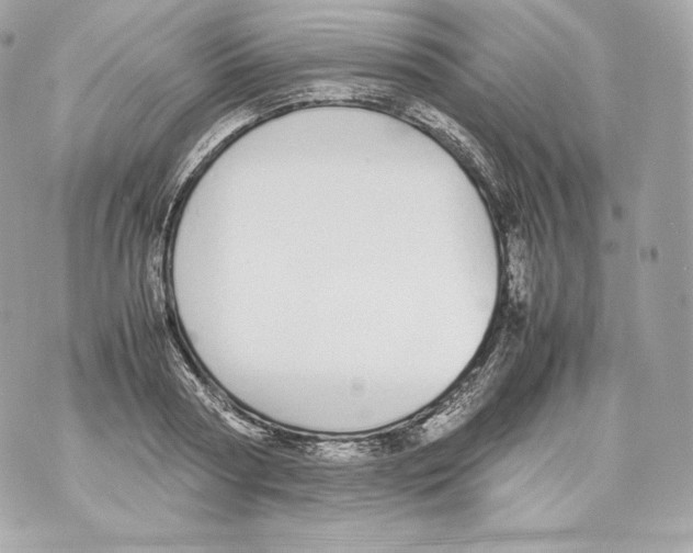 X0000070380794200607072153