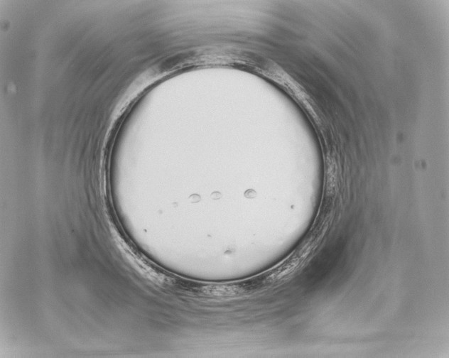 X0000070380795200607072153