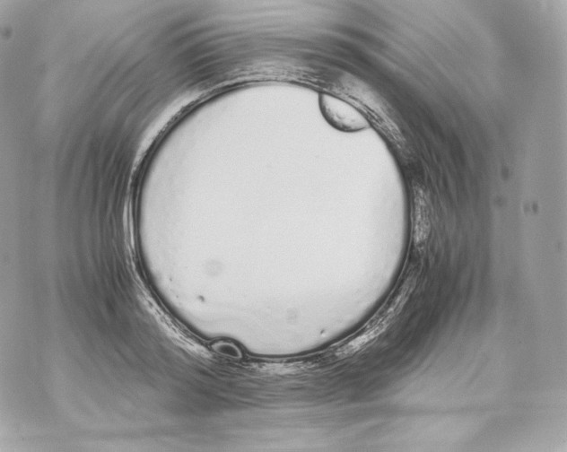 X0000070380796200607072152