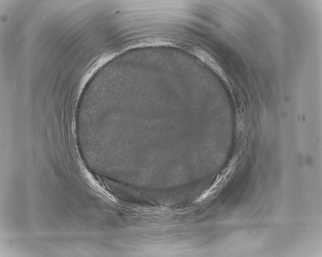 X0000070380797200607072152