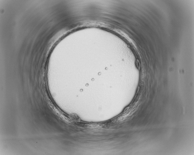 X0000070380799200607072152