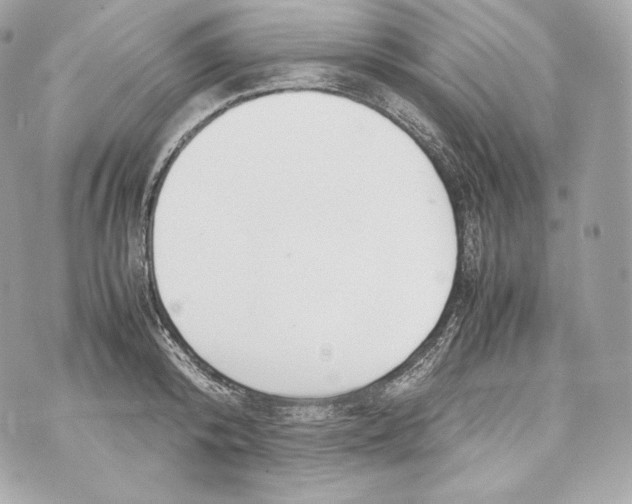 X0000070380800200607072152