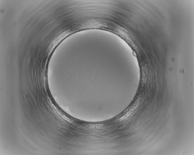 X0000070380802200607072152