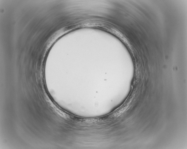 X0000070380803200607072152