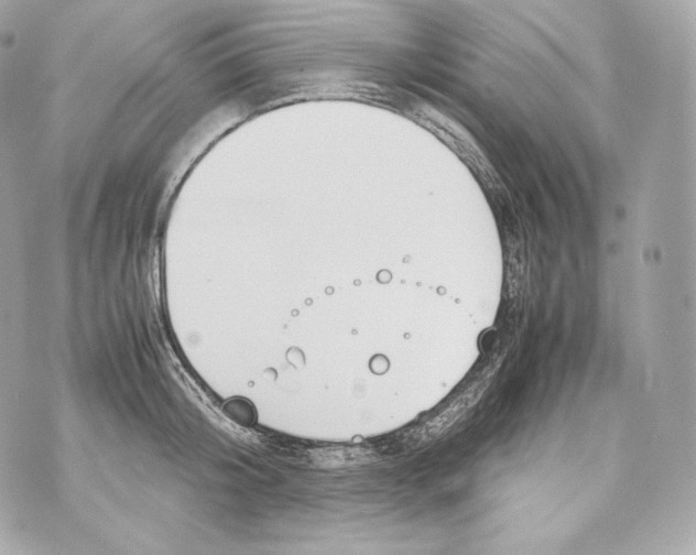 X0000070380804200607072152