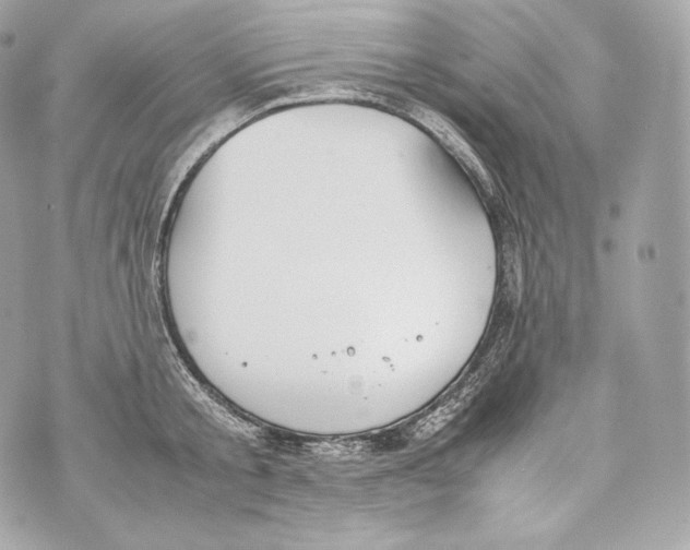 X0000070380805200607072152