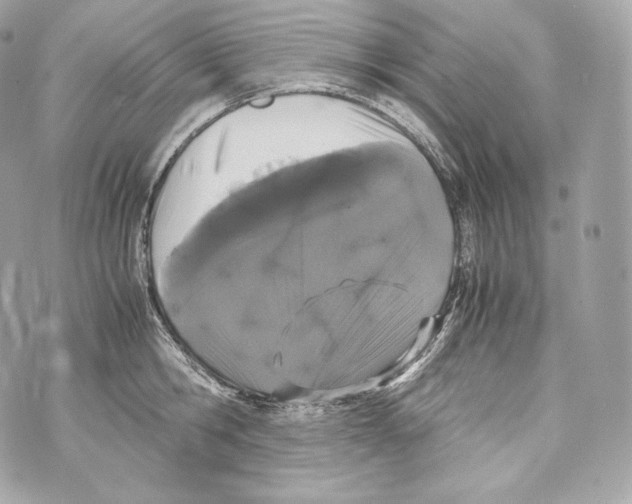 X0000070380806200607072152