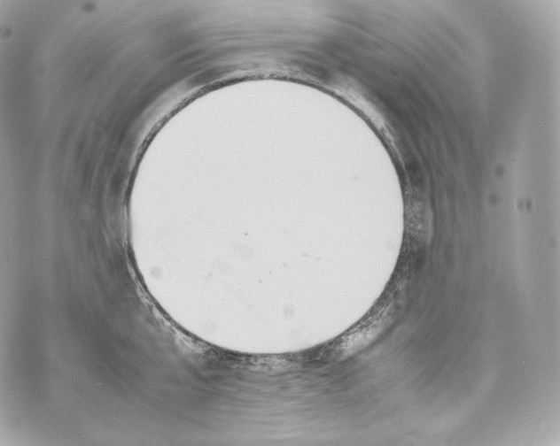 X0000070380807200607072152