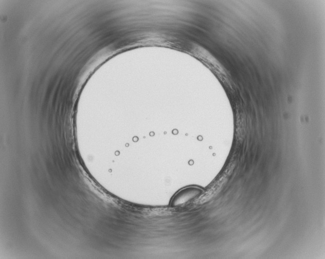 X0000070380808200607072152