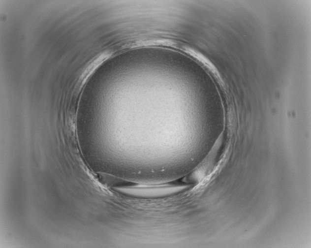 X0000070380809200607072152