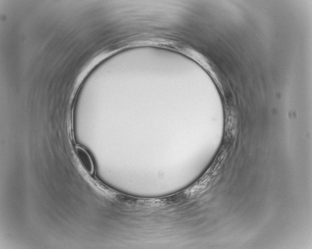 X0000070380811200607072152