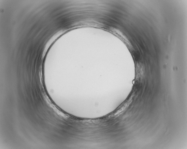 X0000070380812200607072152