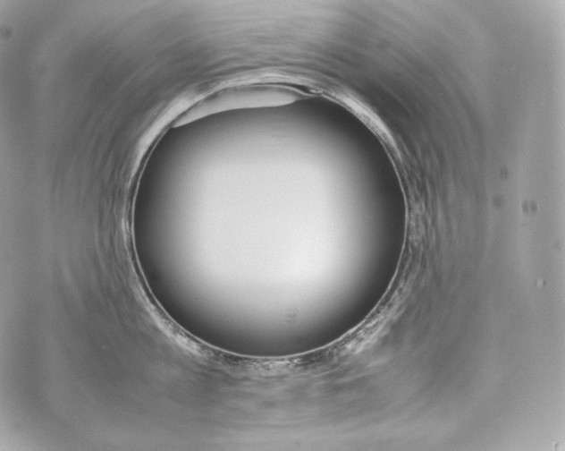 X0000070380813200607072152