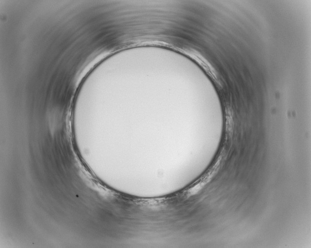 X0000070380814200607072152