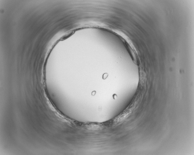 X0000070380815200607072152