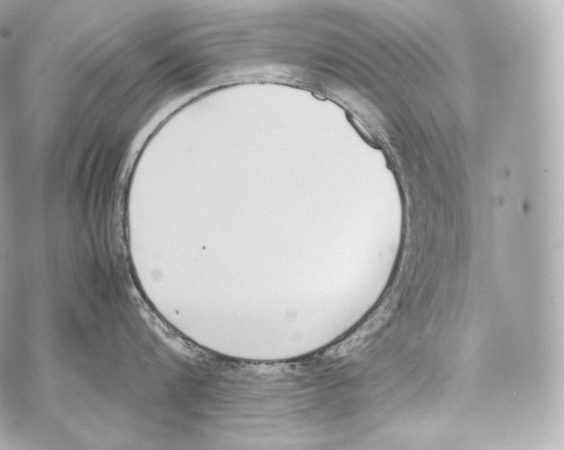 X0000070380816200607072152