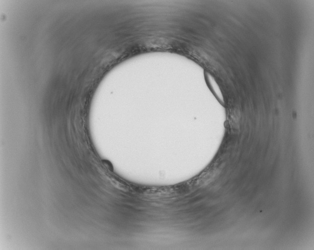 X0000070380817200607072151