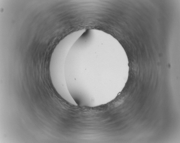 X0000070380818200607072151