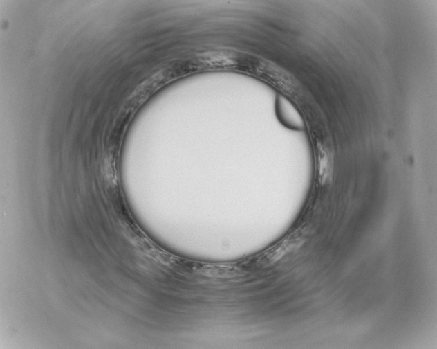 X0000070380819200607072151