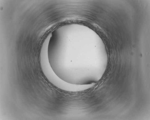 X0000070380822200607072151