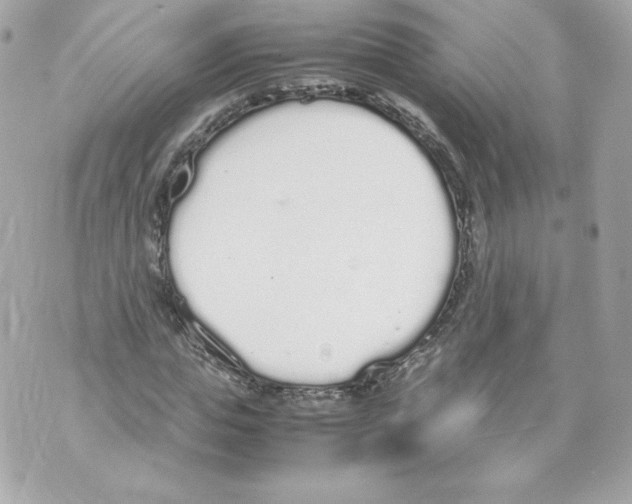 X0000070380823200607072152