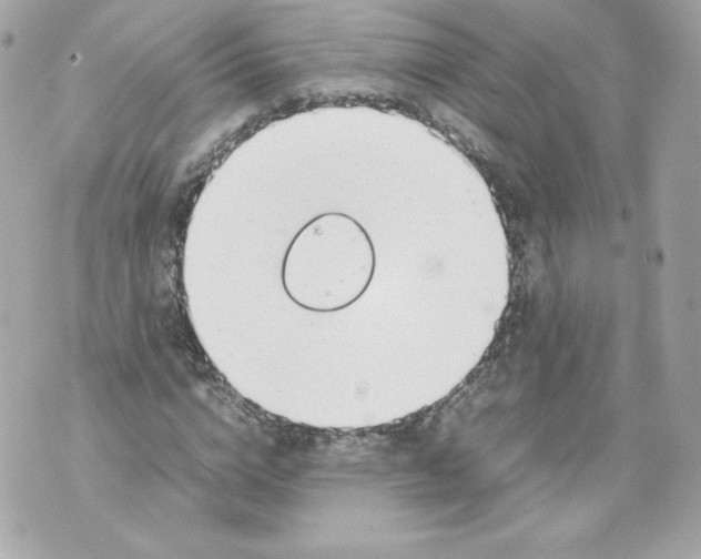 X0000070380824200607072152