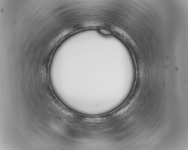 X0000070380825200607072152