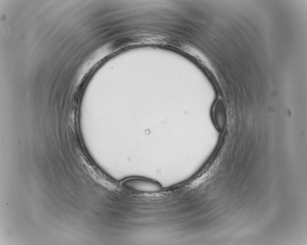 X0000070380827200607072152