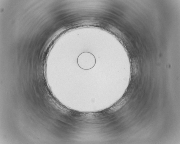 X0000070380828200607072152