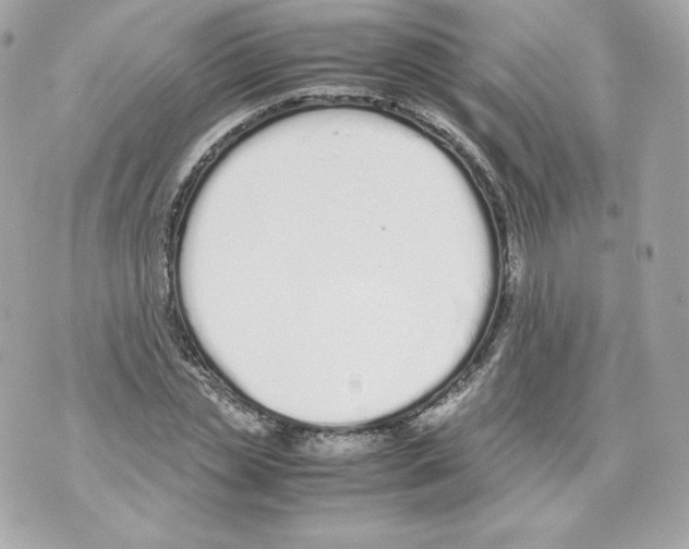 X0000070380829200607072152